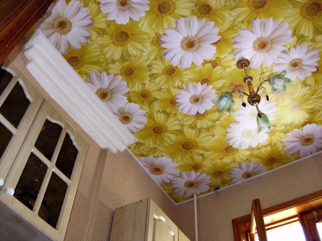 Натяжные потолки цветы Сочи  фотопечать ромашки 